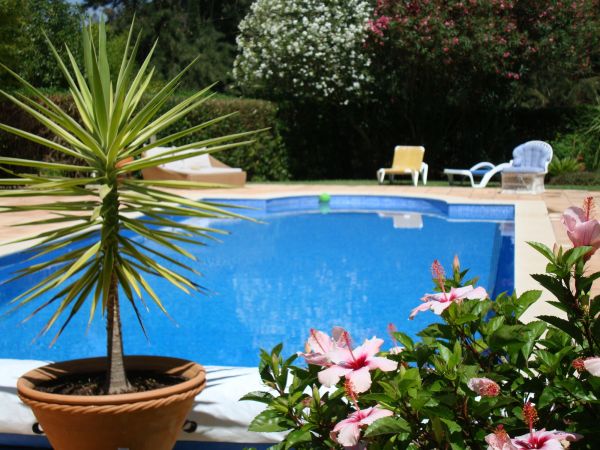 Cost of Pool Terrace Renovation in Hilliard